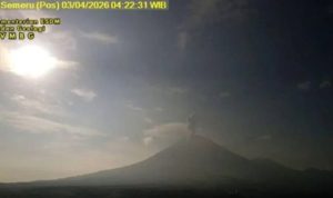 image_1775356573377_h5qvgt