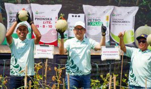 image_1775700542519_otpnu9