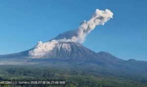 image_1784371021858_za2570