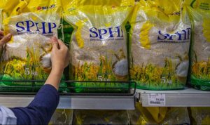 image_1784598234751_aqpo79